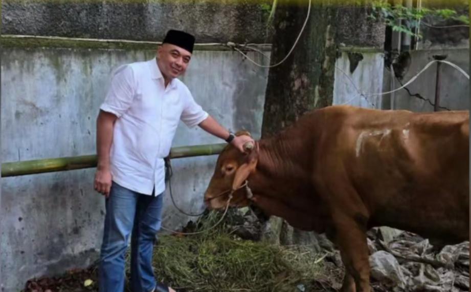 Golkar DKI Salurkan 117 Hewan Kurban untuk Warga Jakarta pada Iduladha 1447 H