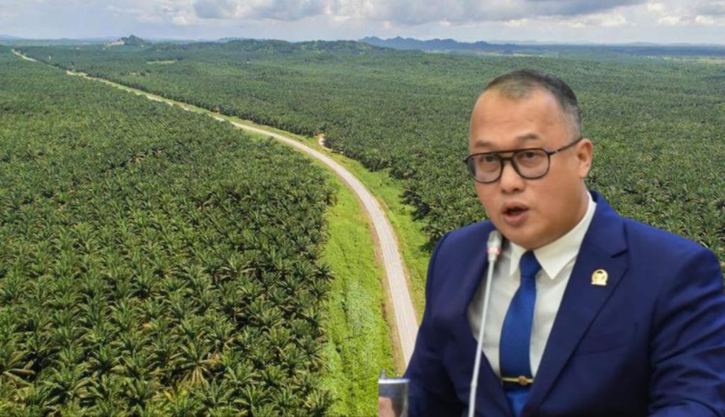 Arif Rahman Desak Pelaku Dugaan Manipulasi Ekspor CPO Dijerat TPPU