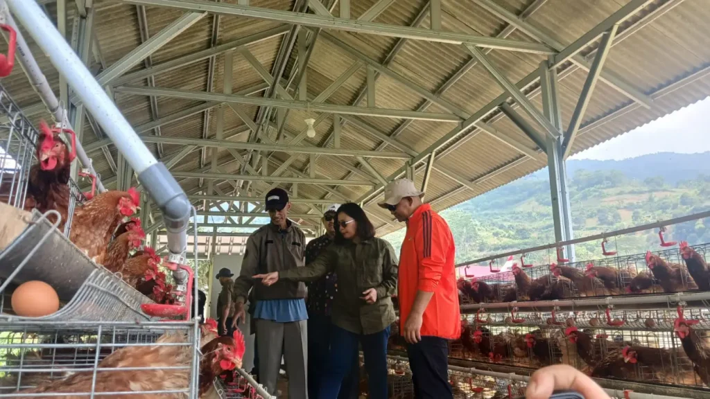 24 Hektare Eks HGU di Cianjur Jadi Lahan Produktif, 1.900 Warga Diberdayakan