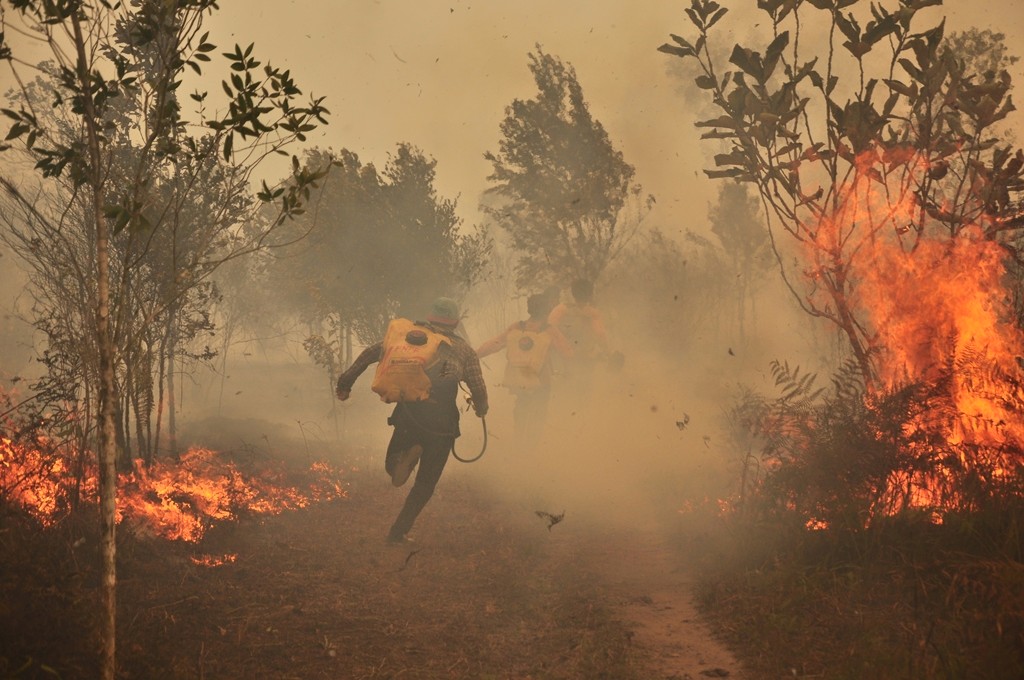 Walhi Catat 74 Persen Titik Panas Kalimantan Berada di Kawasan Konsesi