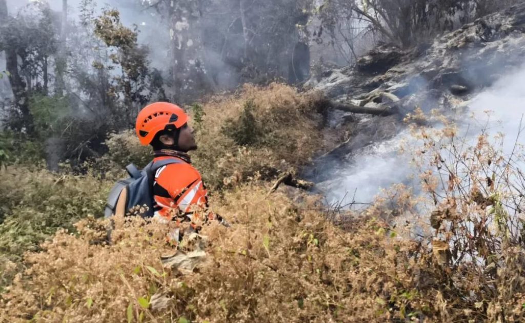 Kebakaran Gunung Butak Padam, 15 Hektare Hutan Lindung Terdampak