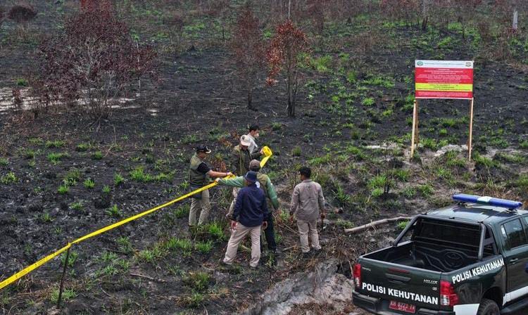 Karhutla Kalteng, Enam Perusahaan Dibekukan dan Afiliasi Bisnis Disorot